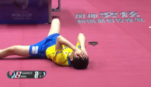 【ハイライト】丹羽孝希vs張本智和｜2019男子ワールドカップ準々決勝
