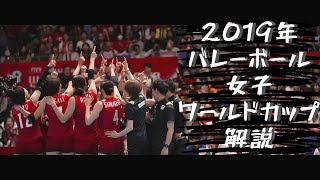 バレーボールワールドカップ　全日本女子　解説　2019年