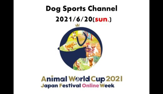 【2021年6月20日】ドッグスポーツ紹介ライブ配信【AWC】(専門学校ちば愛犬動物フラワー学園　有志学生による配信)