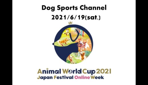 【6月19日】ドッグスポーツ紹介ライブ配信【AEC】(ちば愛犬動物フラワー学園有志学生による配信)