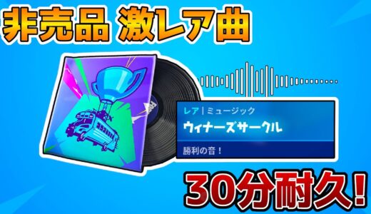 【非売品】ワールドカップ曲「ウィナーズサークル」30分耐久！【フォートナイト/FORTNITE】