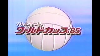 私のタイガース《番外編》1985.11.2【ワールドカップ'85 に向けて（バレーボール）／プロ野球ニュース】