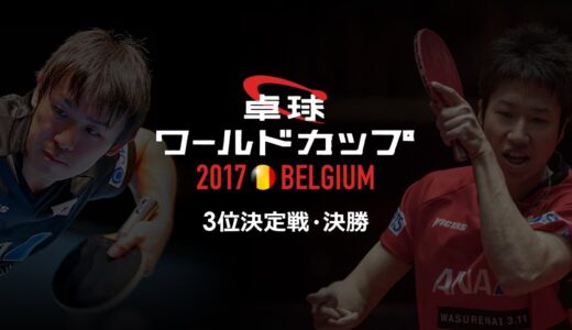 2017男子ワールドカップ 3位決定戦・決勝