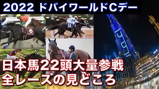 ドバイワールドカップ 過去最多22頭の日本馬が参戦予定も〇〇しないレースが結構あります