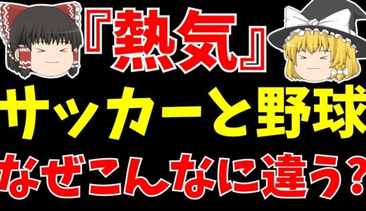 【サッカー日本代表】ワールドカップとWBCはなぜこんなにも○○が違うのか?【ゆっくり解説】