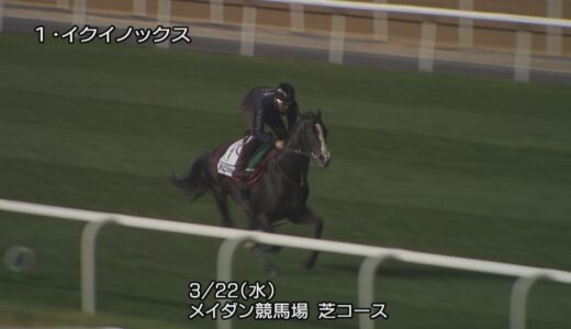 【2023ドバイシーマクラシック】イクイノックスなど日本馬3頭の最終追い切り | JRA公式