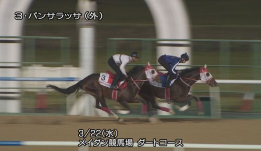 【2023ドバイワールドカップ】パンサラッサなど日本馬8頭の最終追い切り | JRA公式