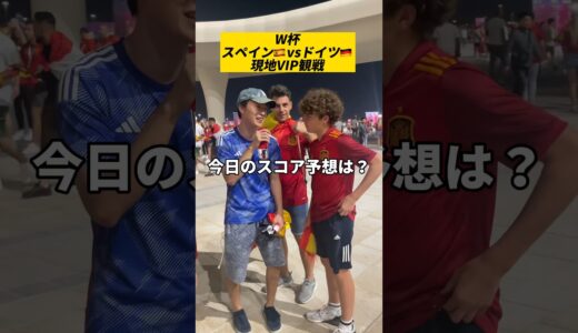 W杯ドイツvsスペインをVIP観戦してきた！！