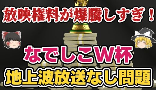 【ゆっくり解説】なでしこジャパン・2023年W杯地上波放送なし問題【サッカー】