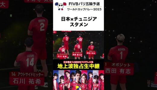 日本×チュニジア 本日のスタメン 【FIVBパリ五輪予選／ワールドカップバレー2023】 #shorts