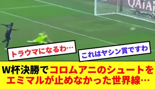 【閲覧注意】W杯決勝でエミマルがコロムアニのシュートを止めていなかった世界線がコチラです…