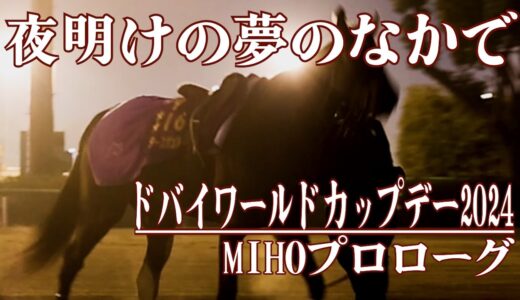 2024ドバイワールドカップデー・美浦遠征馬プロローグ　/    トレセンパドック2024